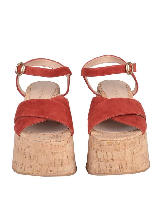 Gianvito Rossi Brown Sandals