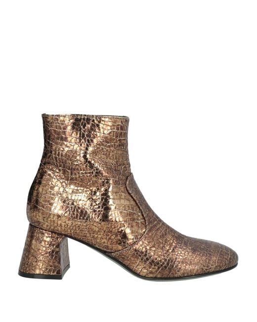 Paola D'arcano Brown Ankle Boots Leather