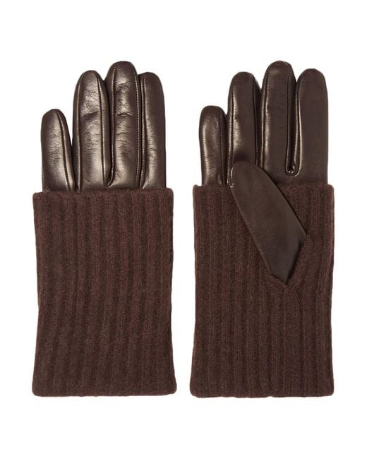 Portolano Brown Handschuhe