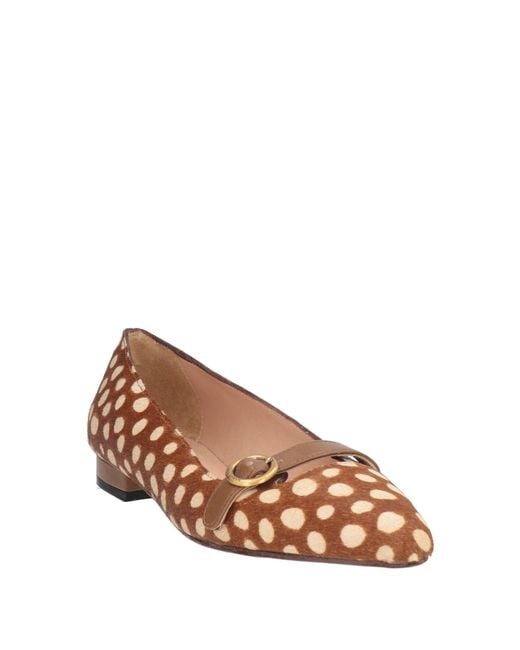 Maliparmi Brown Ballet Flats Leather
