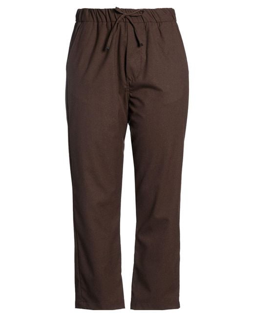 Myths Brown Pants Polyester, Viscose, Elastane