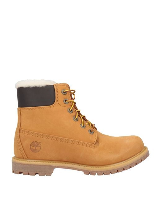 Timberland Brown Stiefelette