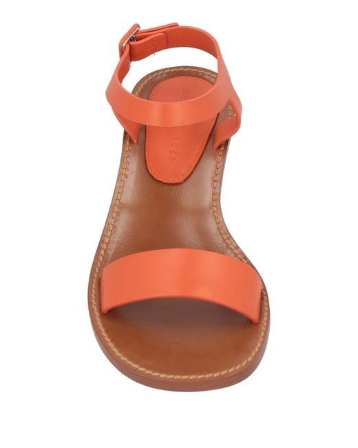 Dear Frances Pink Sandals