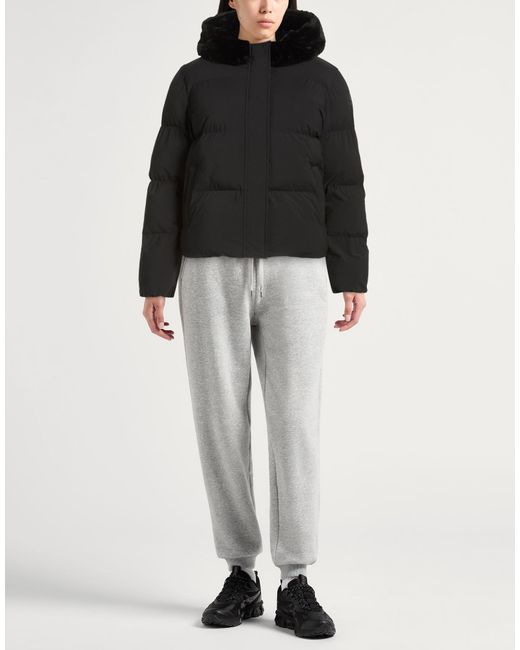 Suns Boards Black Puffers