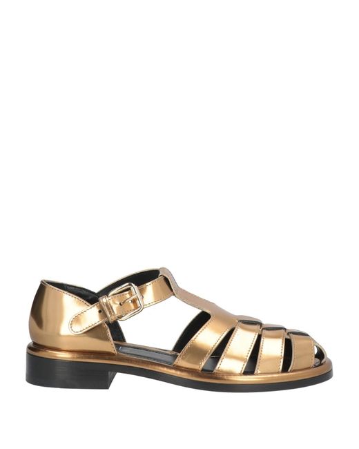 Agl Attilio Giusti Leombruni Brown Sandale