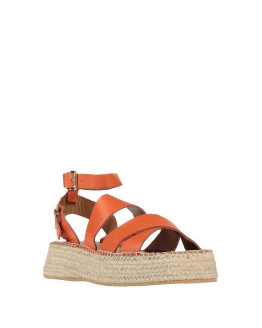 Alohas Brown Espadrilles