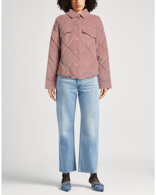 Caractere Pink Puffer