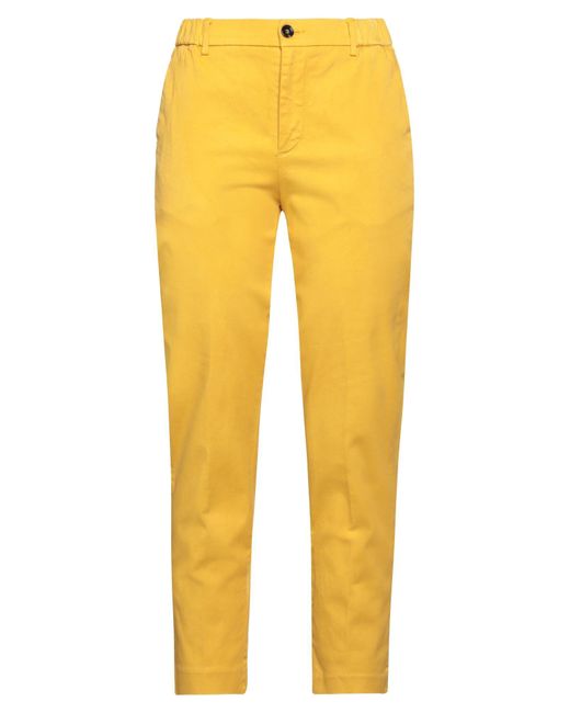 TRUE NYC Yellow Hose