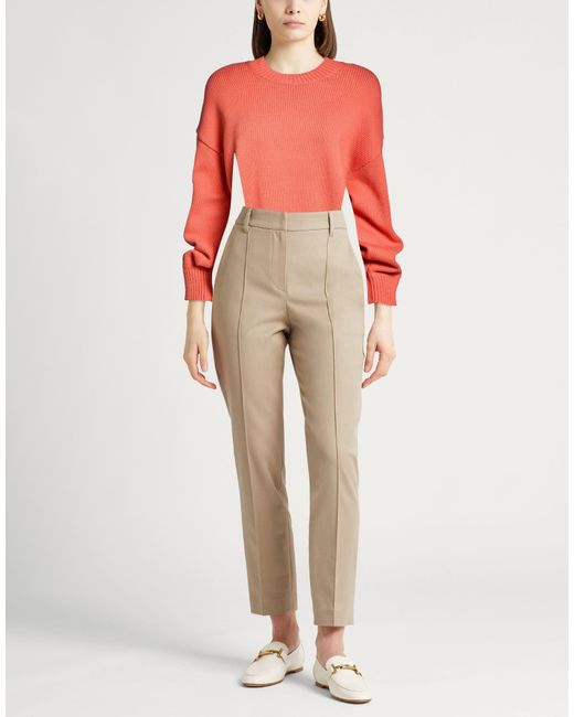 Theory Pink Sweaters