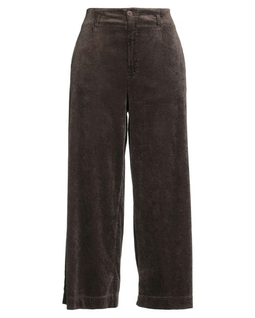 Transit Gray Trouser