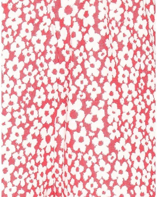 MSGM Pink Pants