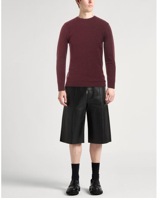 Barbati Purple Jumper for men