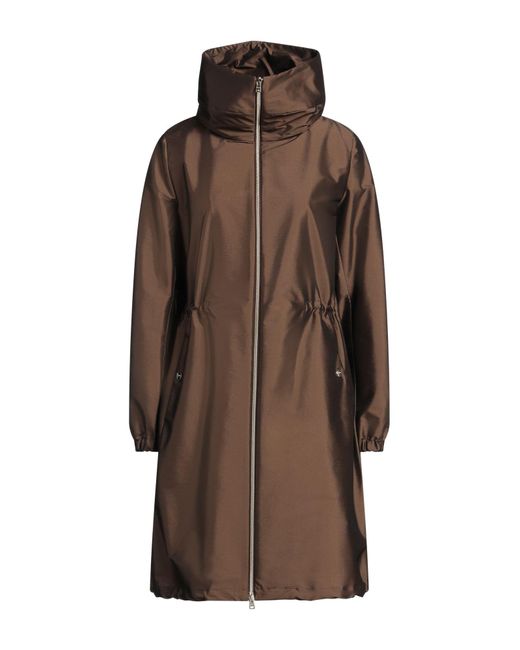 Manteau long et trench Herno en coloris Brown