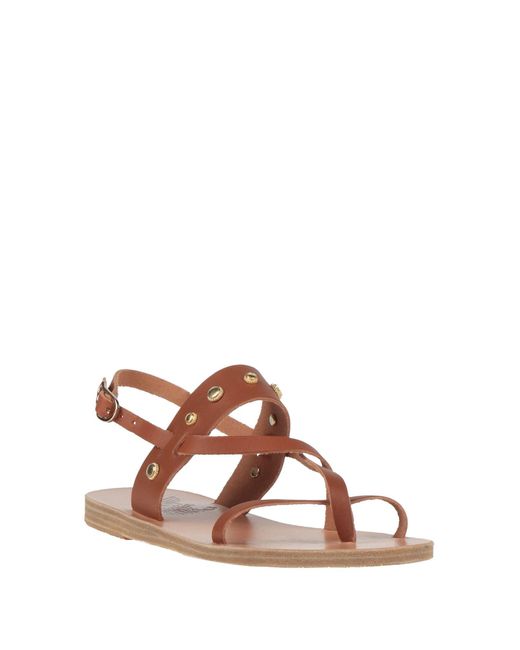 Ancient Greek Sandals Brown Thong Sandal Cowhide