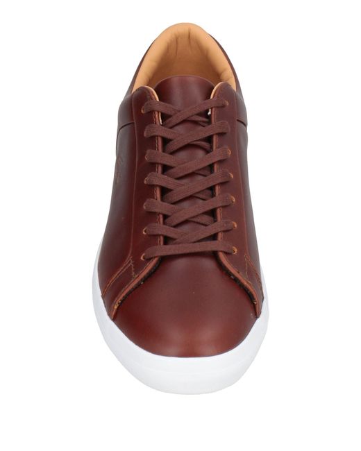 Lacoste Brown Trainers for men