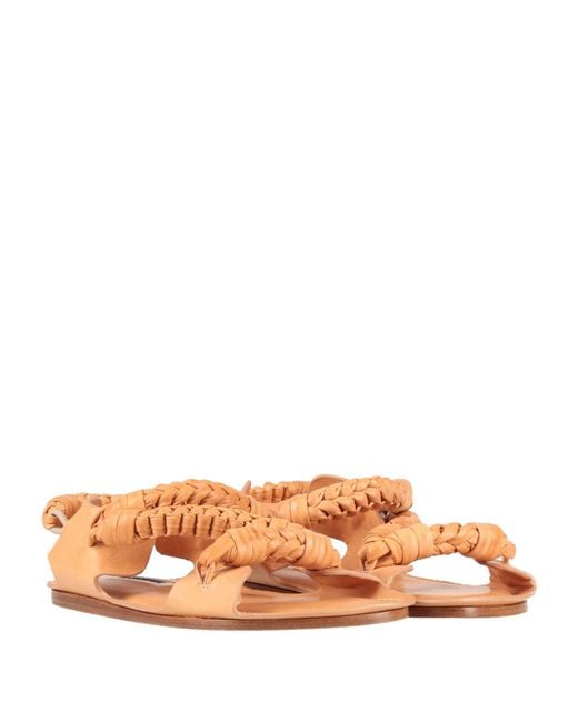 Jil Sander Brown Sandals