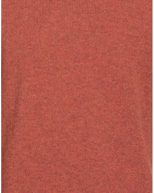 Irish Crone Pink Jumper for men