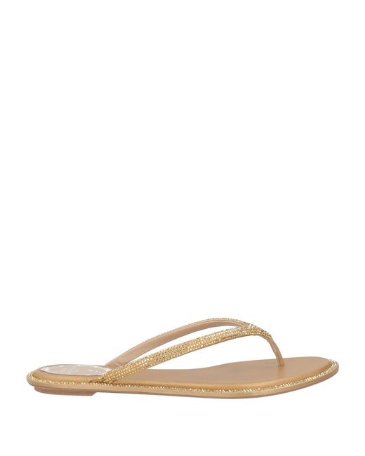 Rene Caovilla Multicolor Thong Sandal