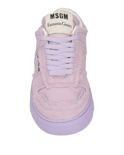 MSGM Purple Trainers