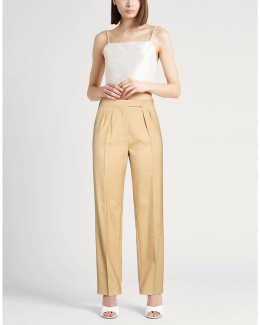 Max Mara Natural Pants Mohair Wool, Virgin Wool, Silk