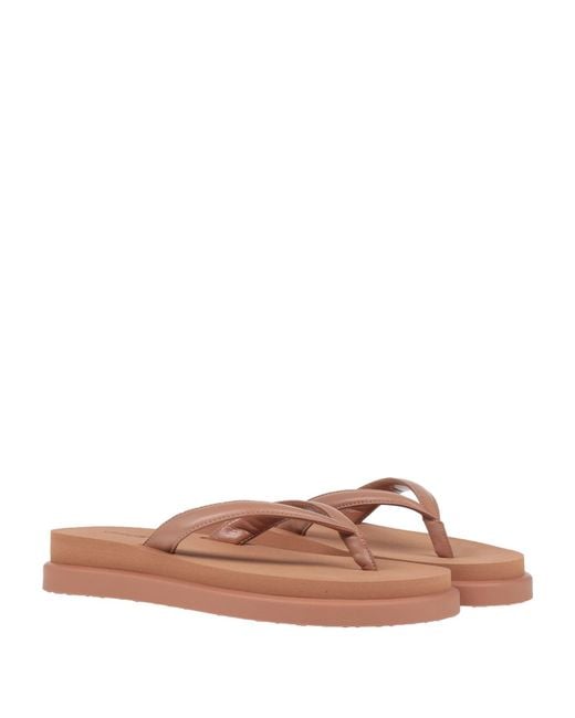 Gianvito Rossi Brown Thong Sandal