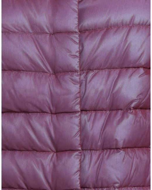 Herno Purple Down Jacket