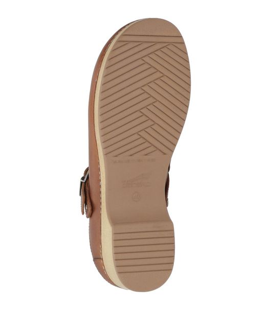 Dansko Brown Mules & Clogs