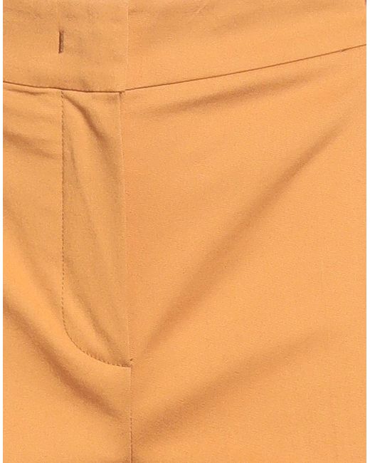 Hanita Orange Marigold Pants Cotton, Elastane