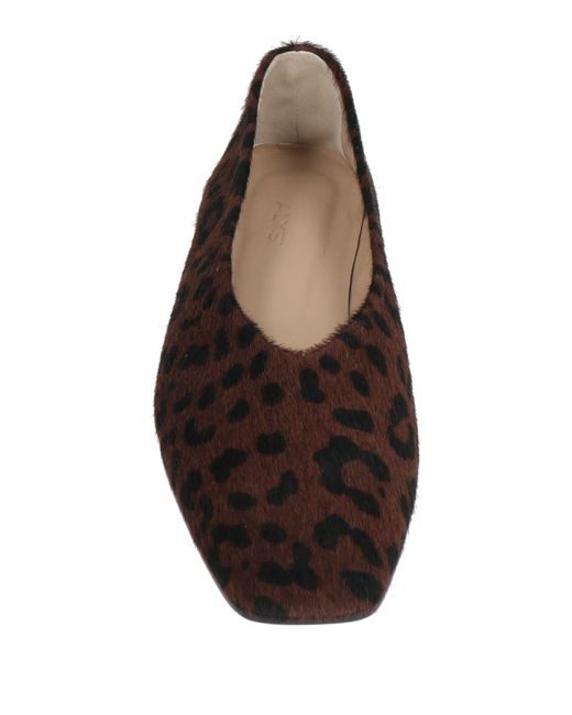 Alysi Brown Ballet Flats
