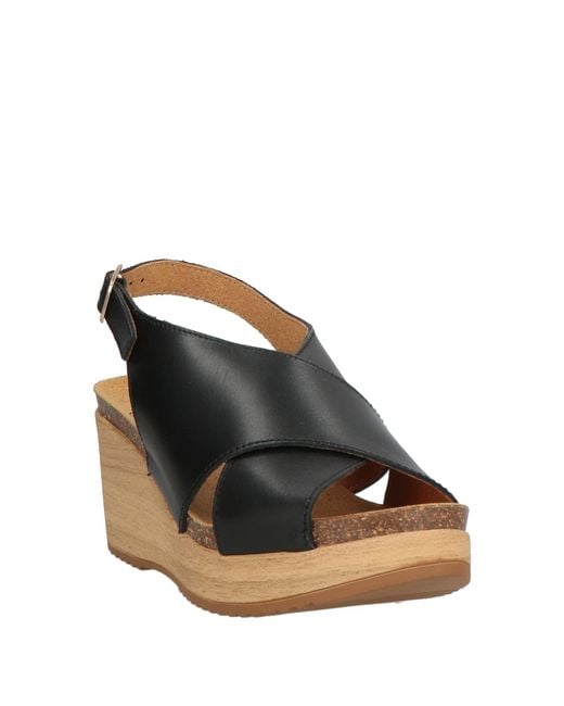 Scholl Natural Sandale