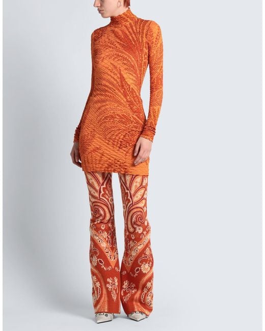 Etro Red Pants