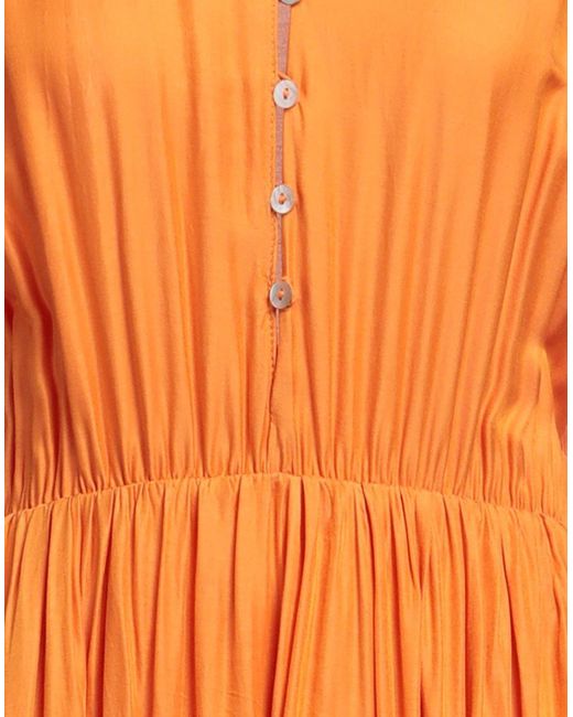 SKILLS & GENES Orange Midi Dress