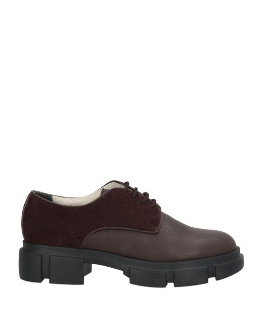 Pollini Brown Schnürschuh