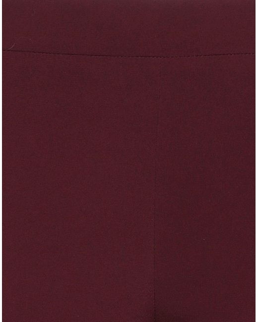 Liu Jo Purple Trouser