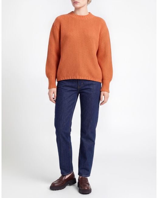 Pullover Aragona de color Orange