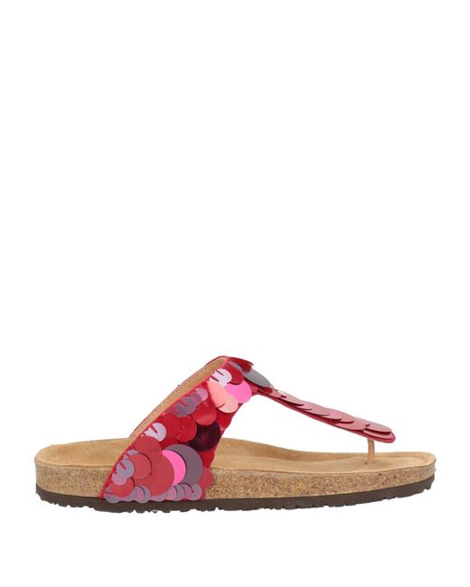 Maliparmi Pink Thong Sandal