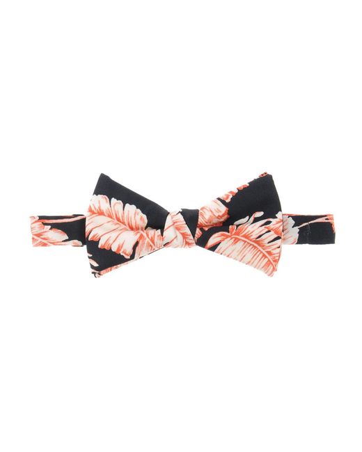 Marc Jacobs Pink Ties & Bow Ties for men
