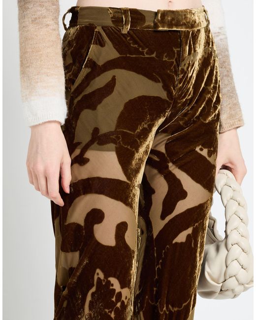 Etro Brown Pants
