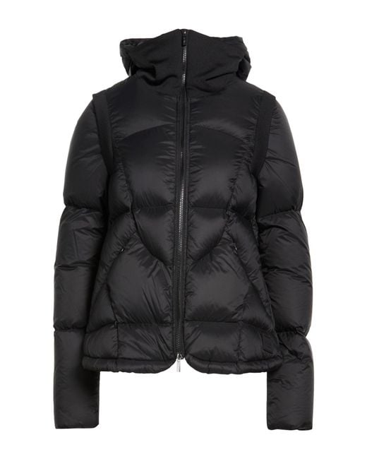 High Black Puffers