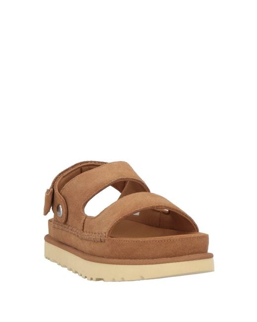 Ugg Brown Sandals for men