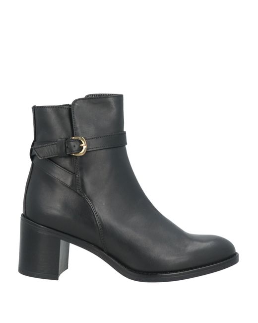 Minelli Black Stiefelette