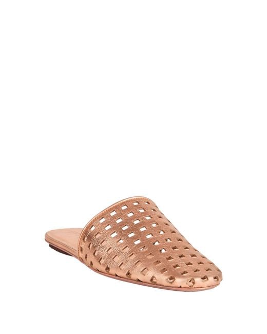 Marsèll Multicolor Mules & Clogs