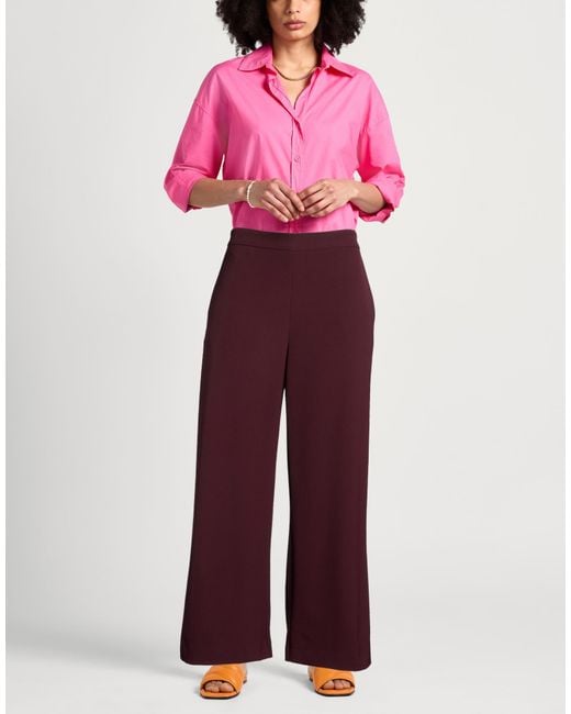 Maliparmi Purple Pants
