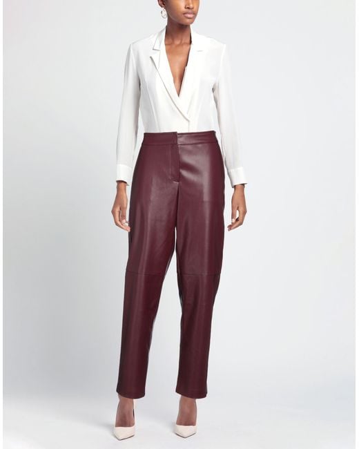 Alpha Studio Purple Trouser