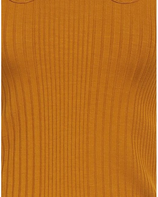 Pinko Brown Top