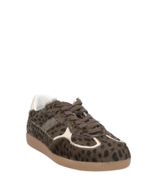 Alohas Brown Sneakers