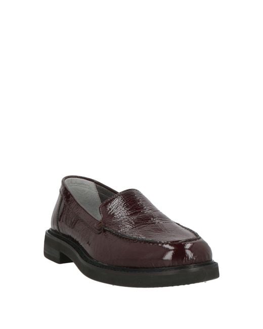 Stonefly Brown Loafers Leather