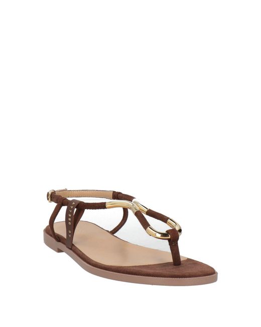 Sergio Rossi Brown Thong Sandal Leather