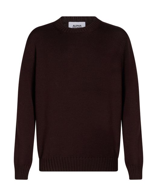 Alpha Studio Pullover in Brown für Herren