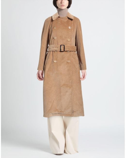 Sealup Natural Coat